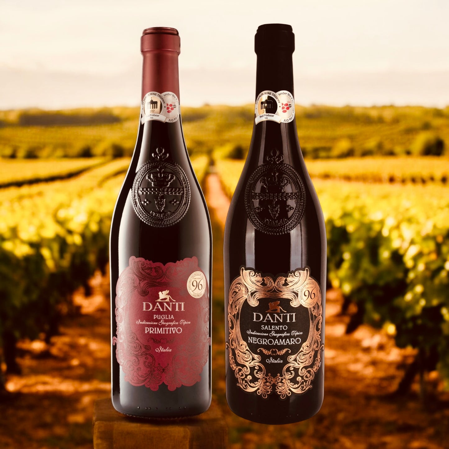 Danti - 6 fl. Negroamaro en 6 fl. Primitivo