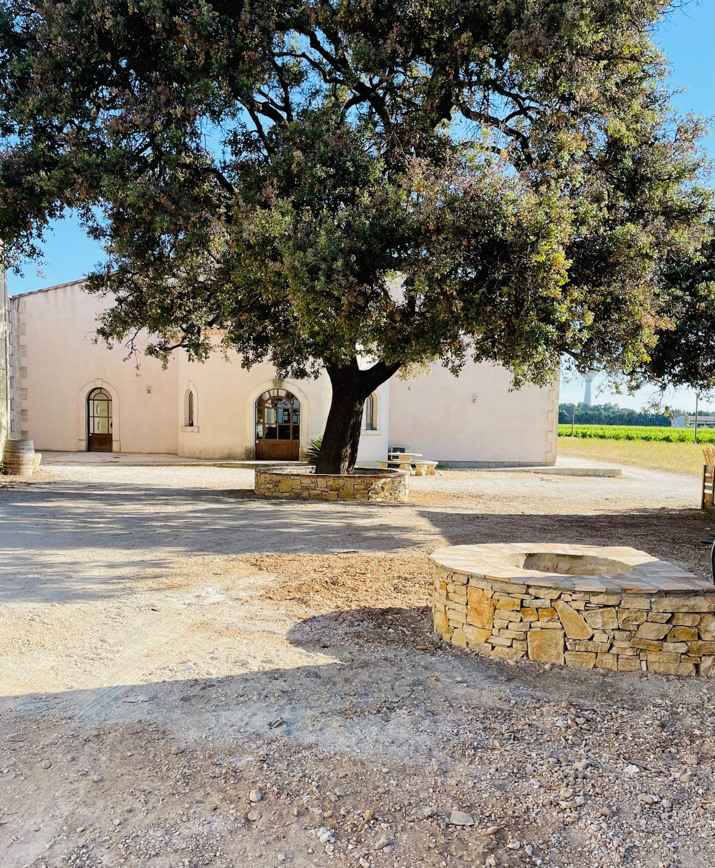 Juliette 6 flessen rosé en 6 flessen blanc