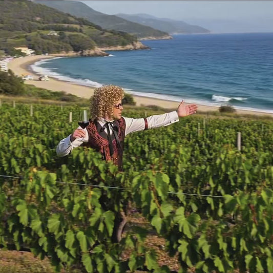 De Borrelier - 6 flessen Danti Primitivo