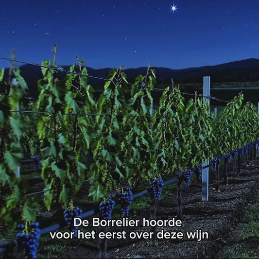 De Borrelier - 6 flessen Diamant Cabernet Sauvignon Oaky