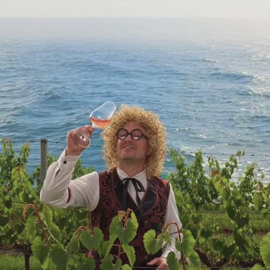 De Borrelier - 6 flessen Elle en Lui Rosé - Oogstjaar 2025