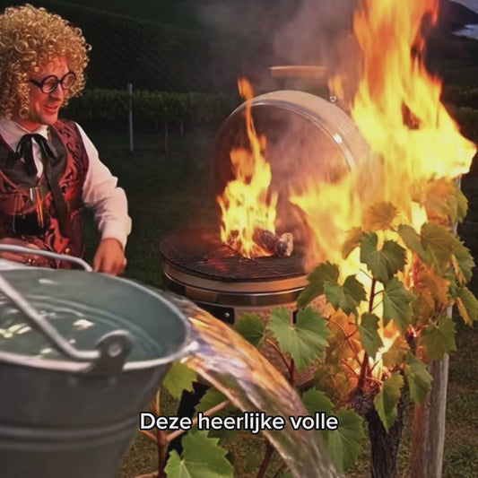 De Borrelier - 6 flessen Quaranta Zinfandel